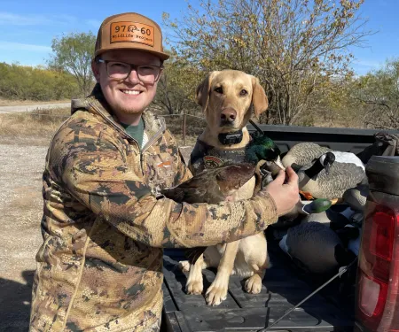A man holds a duck with a brown body, green head, and white-ish bill in front of a yellow dog that is sitting on a truck tailgate. 
