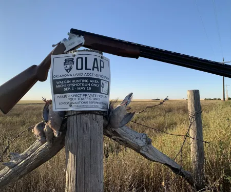 OLAP sign with a gun a dove displayed around it