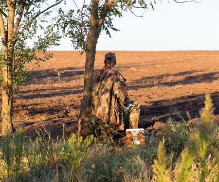 A dove hunter sits patiently under a tree waiting for dove.