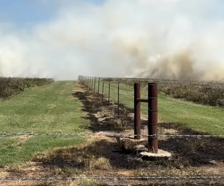Strips of land mowed along a fence line while a smoke from a fire fills the background.