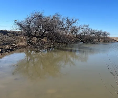 A pond under a blue sky.