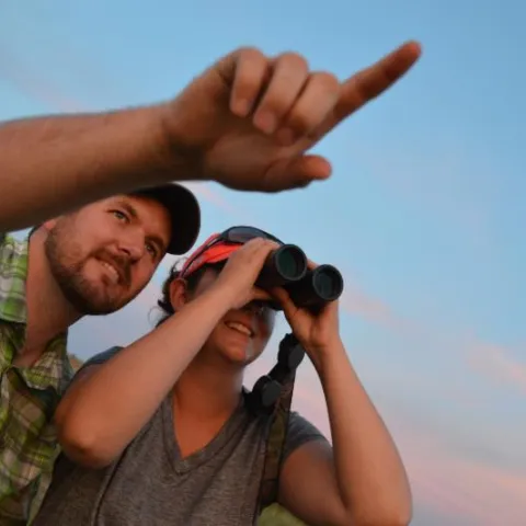 The Wildlife Department's annual Selman Bat Watch gives viewers a chance to see hundreds of thousands of Mexican free-tailed bats emerge from a cave to feed. (Blake Podhajsky/ODWC)