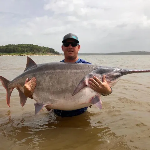 Lukehart record paddlefish.