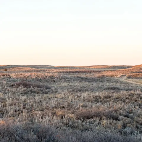 Beaver River WMA, photo by Kelly Adams
