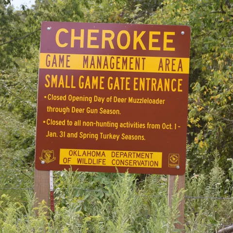 Cherokee GMA, photo by Whitney Jenkins