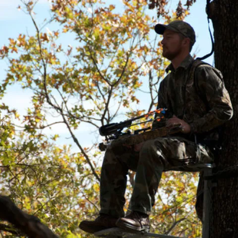 Archery hunter in tree stand.