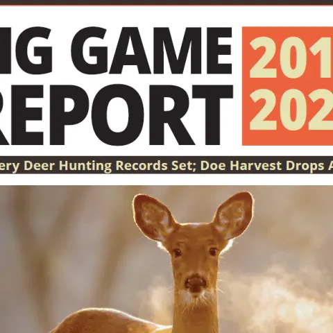 2019/2020 Big Game Report