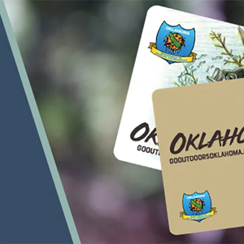 Newly Released, 2021 Hard Cards, upgrade your license to a durable card