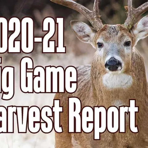 2020-21 Big Game Harvest Report