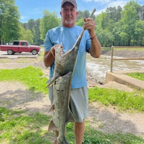 Arkansas angler Bobby Chambers holds Oklahoma paddlefish he caught in Arkansas.
