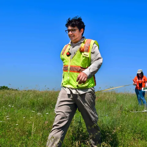 David Berman and Emily Geest stretch a measuring tape to gauge the density of milkweeds and other blooming plants in their study area.