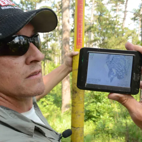 Biologist Clay Barnes with camera monitoring Red-cockaded woodpecker at the McCurtain County Wilderness Area.