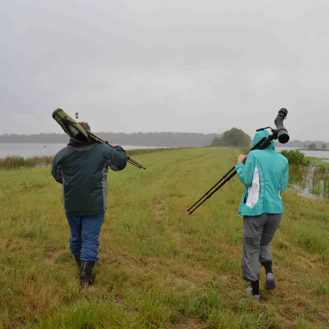 Bird watchers on wma.