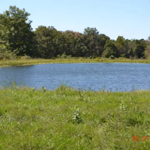 Farm Pond, photo by William McCoy/USFWS