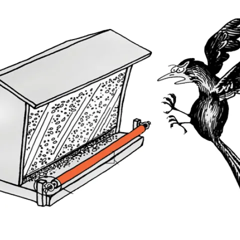 Grackle log roller artwork.