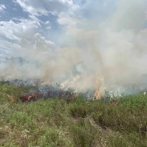 Growing season burn, photo by Lead Lowe/ODWC.