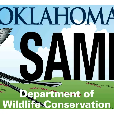 Scissor-tailed Flycatcher license plate.