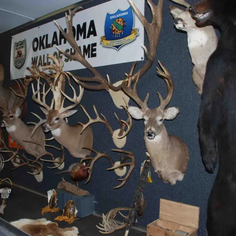 Inside of the Operation Game Thief trailer.