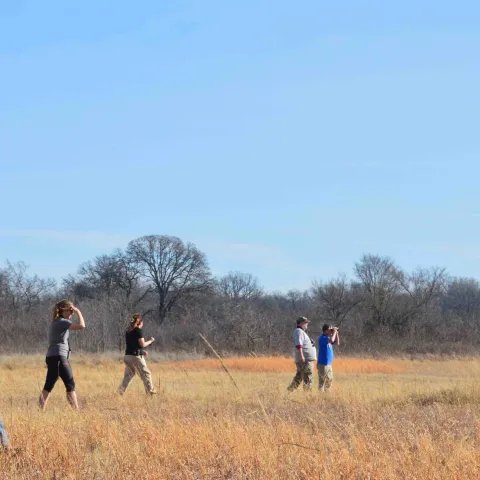 People walk through field surveying.