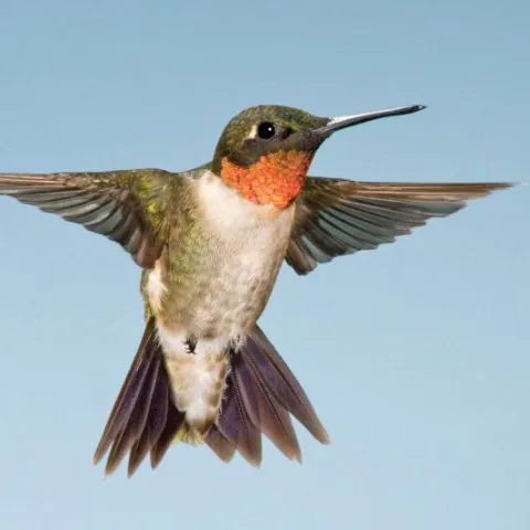 RTHU, photo by Russ Wigh/Flickr