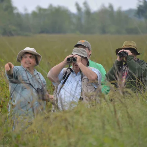Wildlife viewers stand in a field with binoculars.