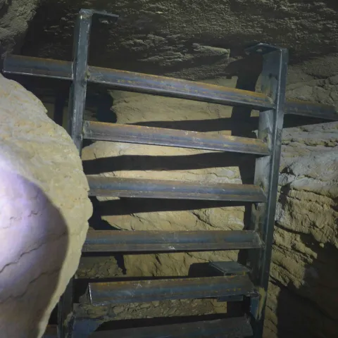Iron gate protecting cave with bats in it.
