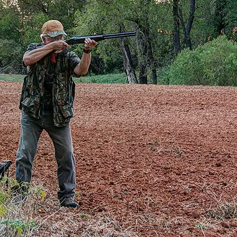 Man in field dove hunting.