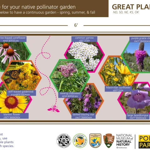 Planting guide for your native pollinator garden.