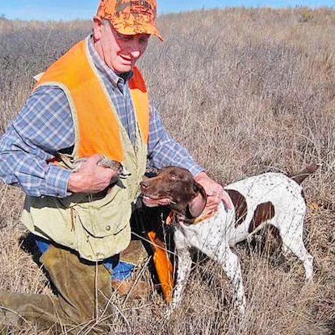 Man with dog and quail in the field.