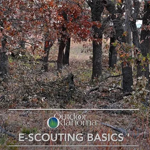 E-Scouting Basics', Outdoor Oklahoma