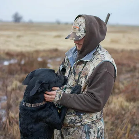 Dog in field with hunter.
