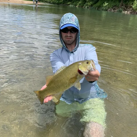 Person holding a smallmouth bass in creek.