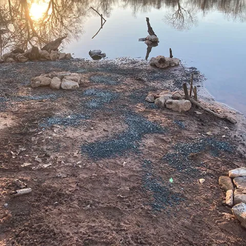 Pond habitat management shoreline.