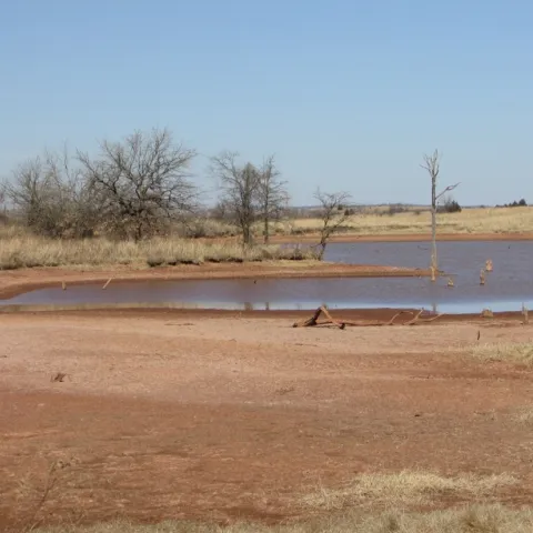 A pond with an exposed bank.