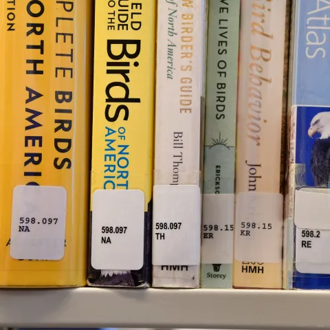 A collection of nature books at a library