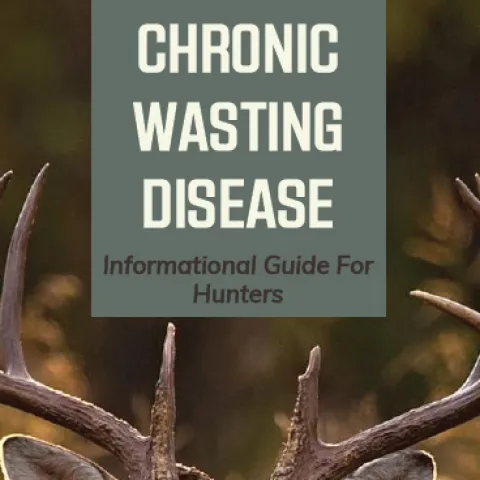 2022 Cervid Import & Chronic Wasting Disease (CWD) Info