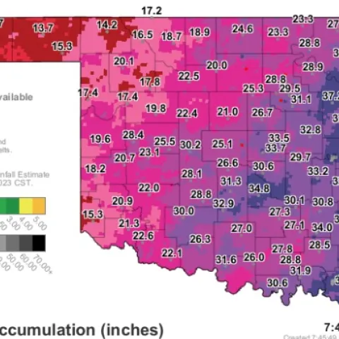 A 365-day map of rainfall logged at Oklahoma Mesonet stations