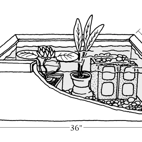 A construction design for establishing a wildscape water source. 