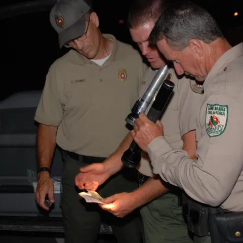 Three Game Wardens look at a license by flashlight.