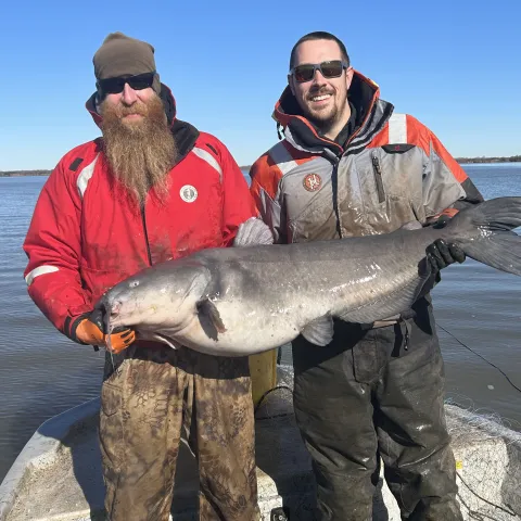 Two biologists in coats hold a big catfish while standing on a boat. 