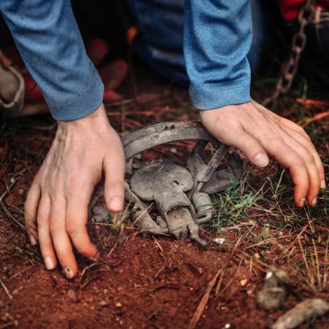 closeup of hands setting a trap