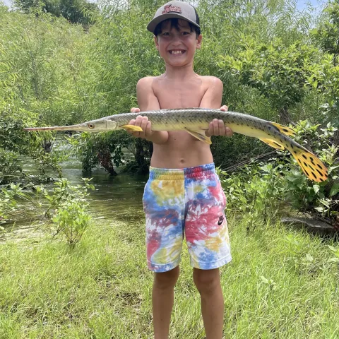 Ian B holding a Longnose Gar