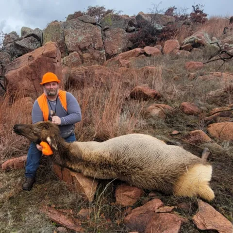 man with cow elk