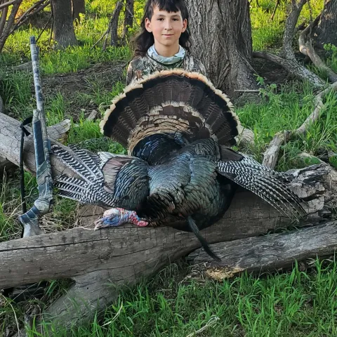 boy with turkey
