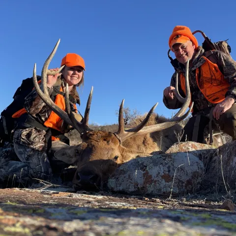 man and woman with elk