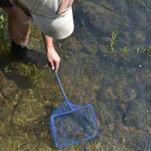 Biologist collecting samples from stream.