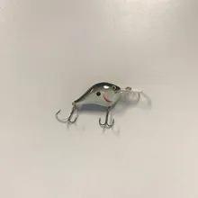 Bass Lipped Crankbait