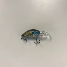 Bass Lipped Crankbait