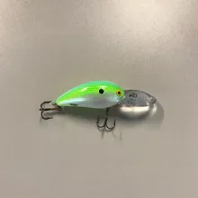 Bass Lipped Crankbait