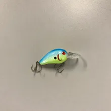 Bass Lipped Crankbait